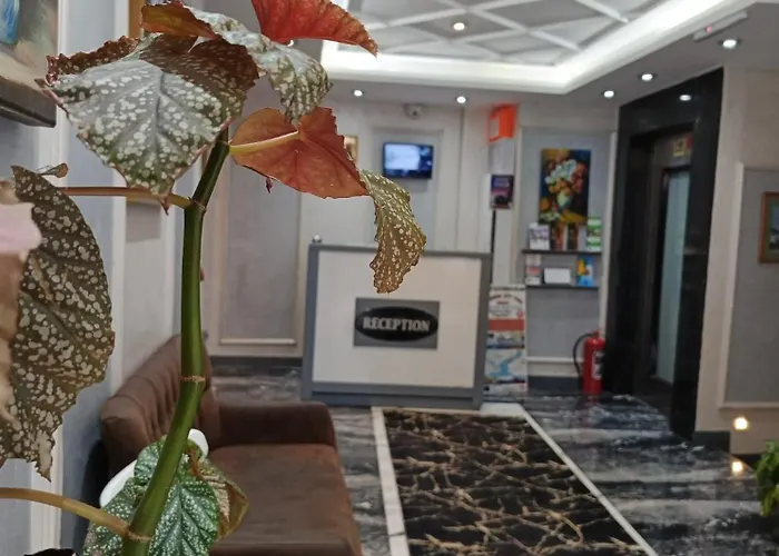 Grand Kybele 酒店 *